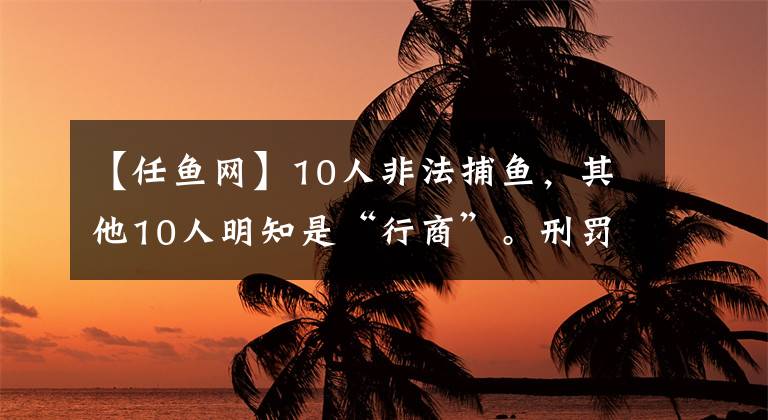 【任鱼网】10人非法捕鱼，其他10人明知是“行商”。刑罚经济处罚承担生态修复费。