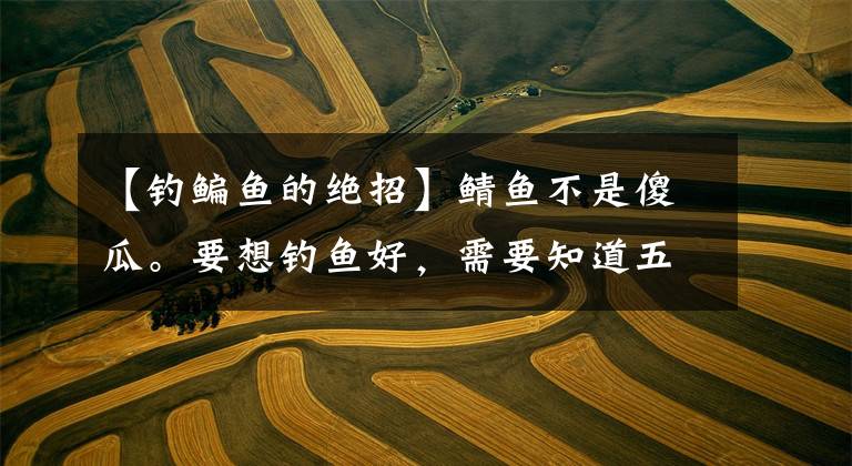 【钓鳊鱼的绝招】鲭鱼不是傻瓜。要想钓鱼好，需要知道五个小技巧。老钓鱼朋友都说可靠文章配图