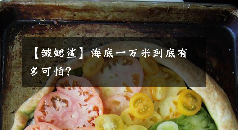 【皱鳃鲨】海底一万米到底有多可怕？文章配图