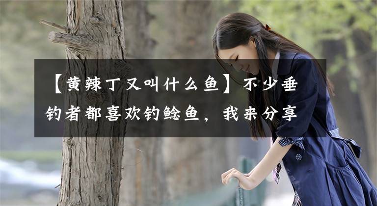【黄辣丁又叫什么鱼】不少垂钓者都喜欢钓鲶鱼，我来分享一下我的钓鱼方法。文章配图
