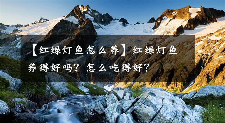 【红绿灯鱼怎么养】红绿灯鱼养得好吗？怎么吃得好？