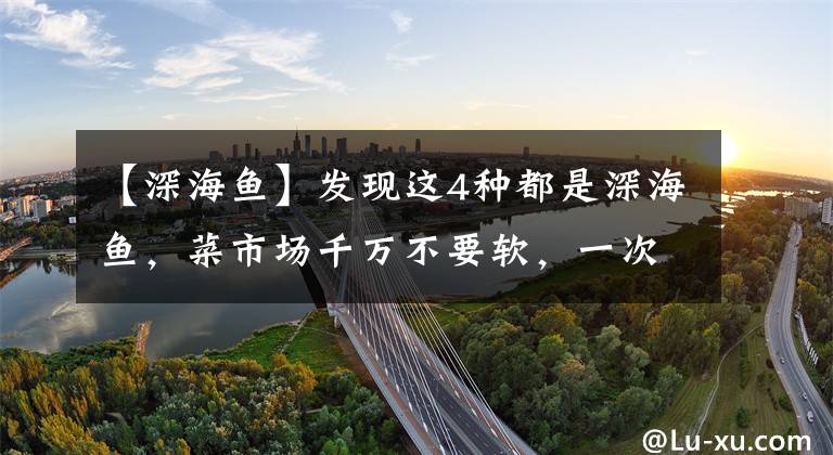 【深海鱼】发现这4种都是深海鱼，菜市场千万不要软，一次买10斤。文章配图