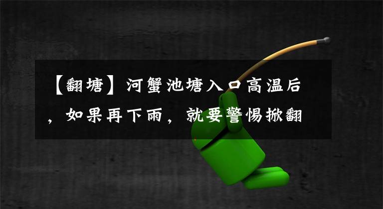 【翻塘】河蟹池塘入口高温后，如果再下雨，就要警惕掀翻池塘