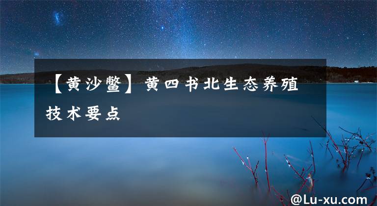 【黄沙鳖】黄四书北生态养殖技术要点