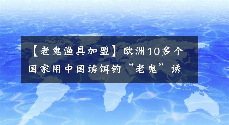 【老鬼渔具加盟】欧洲10多个国家用中国诱饵钓“老鬼”诱饵，一年卖出3亿韩元