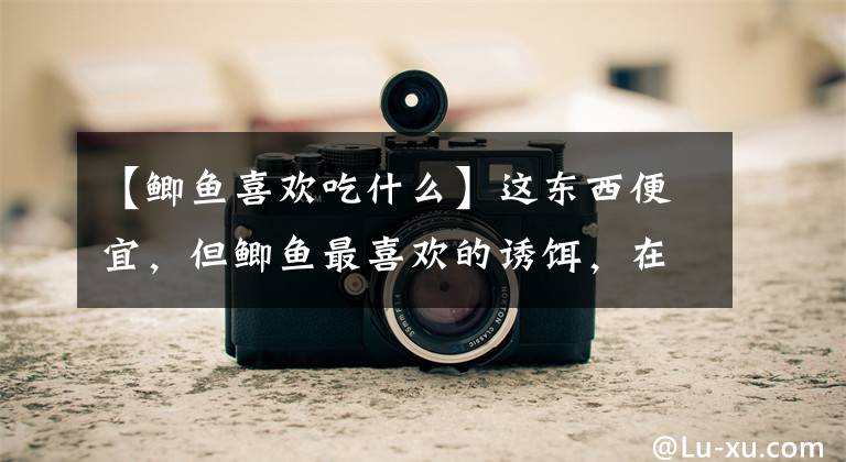 【鲫鱼喜欢吃什么】这东西便宜，但鲫鱼最喜欢的诱饵，在你身边文章配图