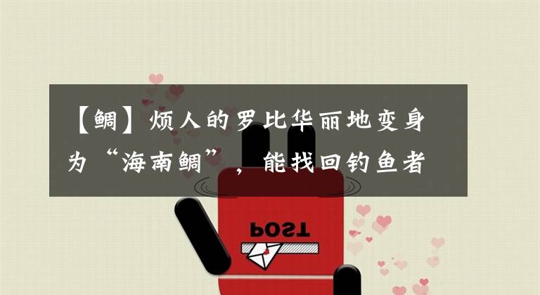 【鲷】烦人的罗比华丽地变身为“海南鲷”，能找回钓鱼者的爱吗？文章配图