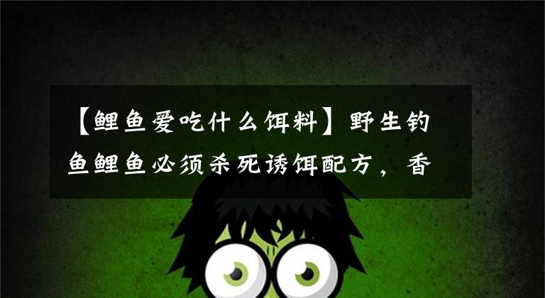 【鲤鱼爱吃什么饵料】野生钓鱼鲤鱼必须杀死诱饵配方，香甜可口，不愁捕鱼。文章配图