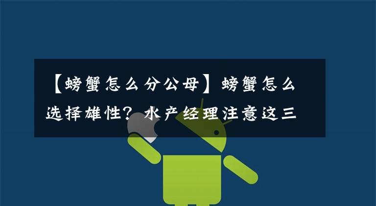 【螃蟹怎么分公母】螃蟹怎么选择雄性？水产经理注意这三个地方。雄性是雌性一眼就能看出。文章配图