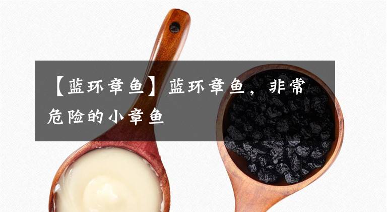 【蓝环章鱼】蓝环章鱼，非常危险的小章鱼文章配图