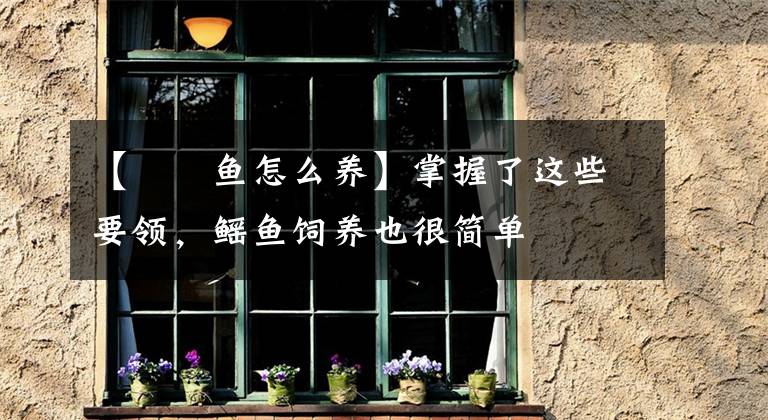【鳑鲏鱼怎么养】掌握了这些要领，鳐鱼饲养也很简单文章配图