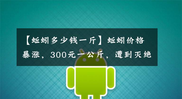 【蚯蚓多少钱一斤】蚯蚓价格暴涨，300元一公斤，遭到灭绝的捕杀！新的养殖项目来了吗？文章配图