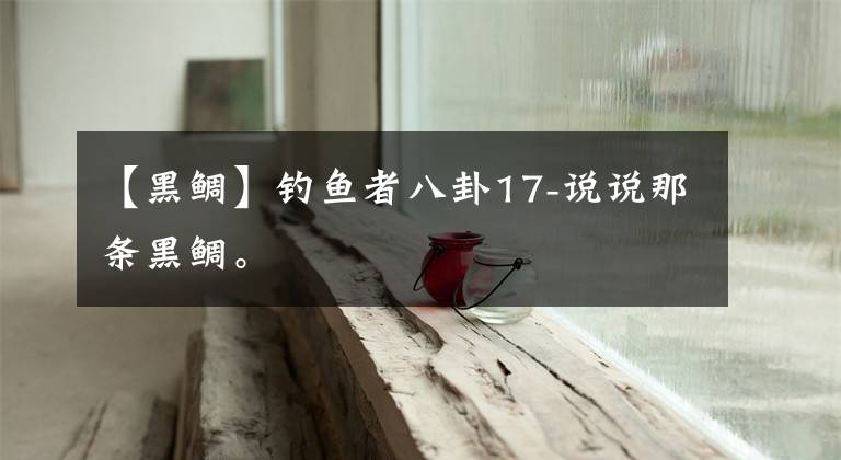 【黑鲷】钓鱼者八卦17-说说那条黑鲷。文章配图