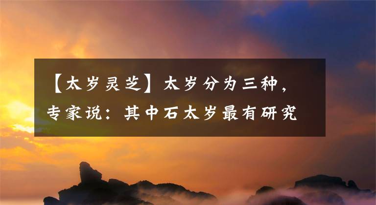 【太岁灵芝】太岁分为三种，专家说：其中石太岁最有研究价值文章配图