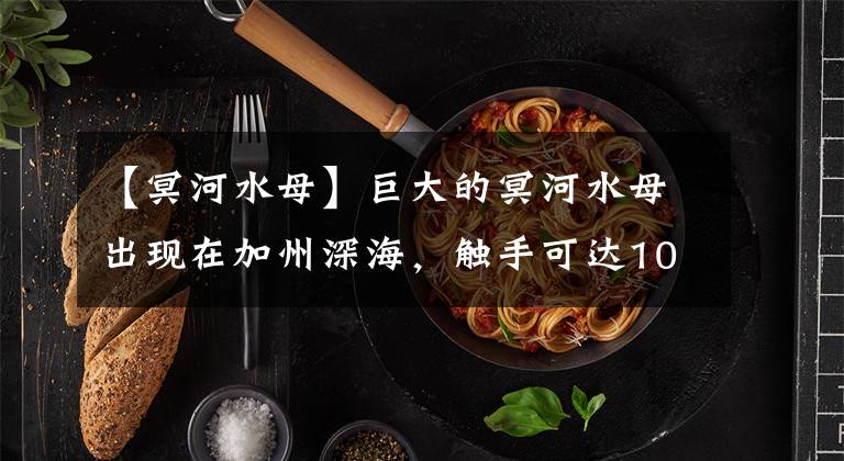 【冥河水母】巨大的冥河水母出现在加州深海，触手可达10米，海洋深处有多可怕？文章配图