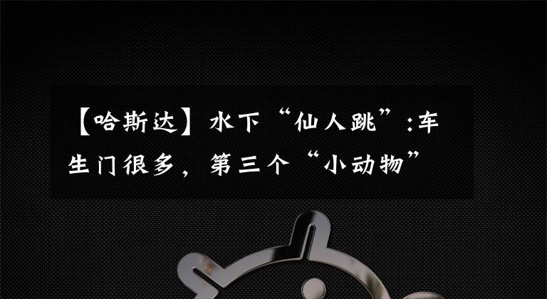 【哈斯达】水下“仙人跳”:车生门很多，第三个“小动物”Lua诱饵。文章配图