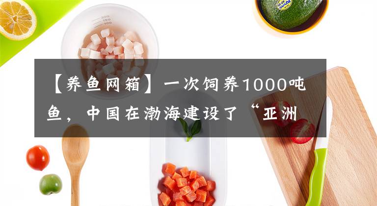 【养鱼网箱】一次饲养1000吨鱼，中国在渤海建设了“亚洲最大的鱼塘”，首次收网，获得了大丰收文章配图
