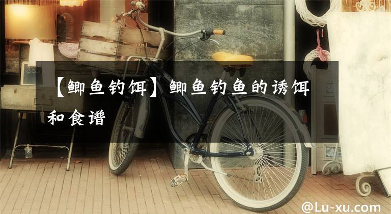 【鲫鱼钓饵】鲫鱼钓鱼的诱饵和食谱文章配图