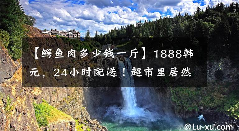 【鳄鱼肉多少钱一斤】1888韩元，24小时配送！超市里居然能买到整条鳄鱼。文章配图