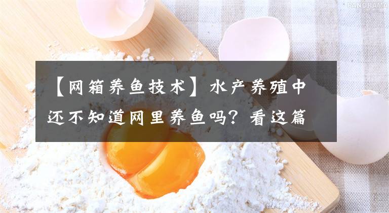 【网箱养鱼技术】水产养殖中还不知道网里养鱼吗？看这篇文章就可以了