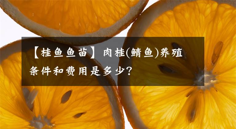 【桂鱼鱼苗】肉桂(鲭鱼)养殖条件和费用是多少？