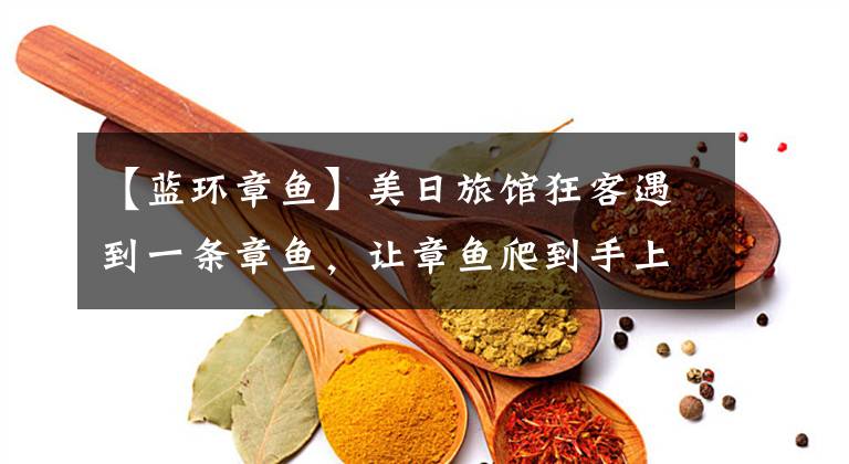 【蓝环章鱼】美日旅馆狂客遇到一条章鱼，让章鱼爬到手上。知道是蓝玲章鱼后很害怕。(莎士比亚，章鱼，章鱼，章鱼，章鱼，章鱼)文章配图
