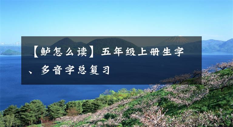 【鲈怎么读】五年级上册生字、多音字总复习