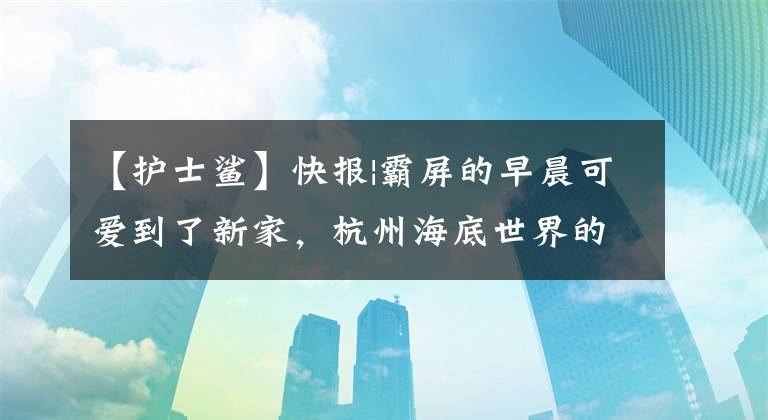 【护士鲨】快报|霸屏的早晨可爱到了新家，杭州海底世界的护士鲨正在“床上休息”文章配图