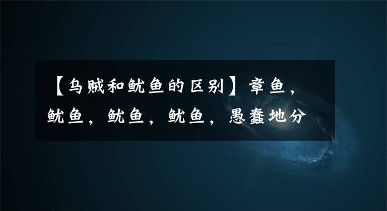 【乌贼和鱿鱼的区别】章鱼，鱿鱼，鱿鱼，鱿鱼，愚蠢地分辨不出来吗？一幅画教你如何辨别。文章配图