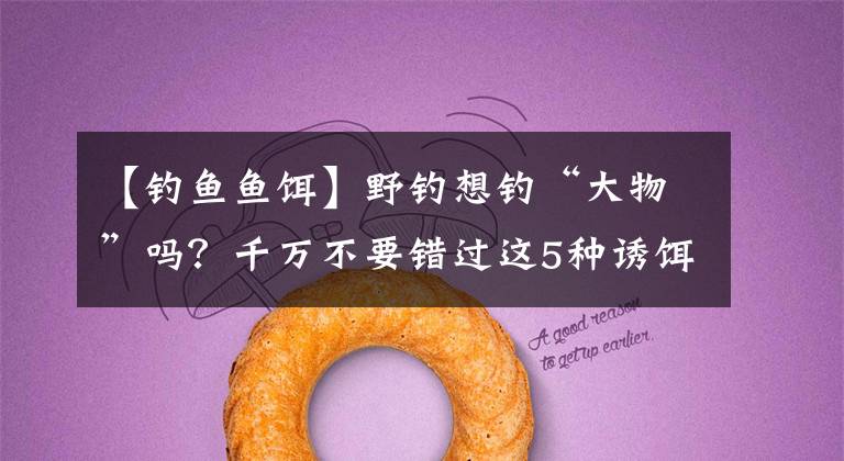 【钓鱼鱼饵】野钓想钓“大物”吗？千万不要错过这5种诱饵配方。收集鱼的效果增加了一倍。文章配图