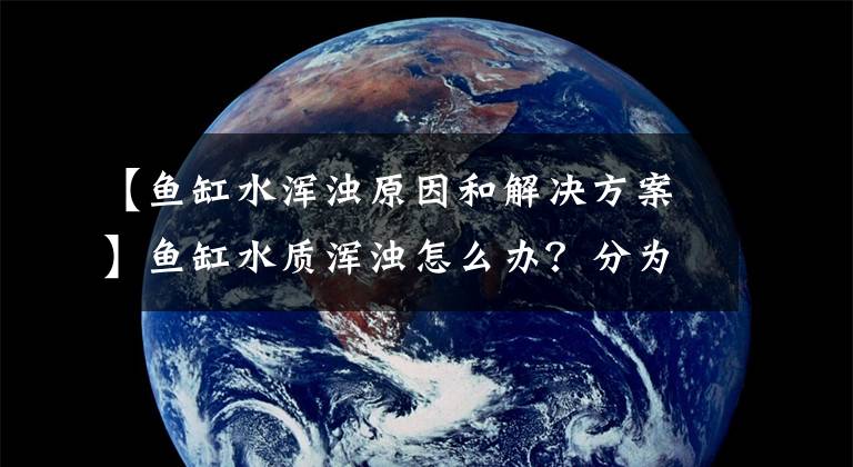 【鱼缸水浑浊原因和解决方案】鱼缸水质浑浊怎么办？分为两种情况，一次告诉你解决症状的情况