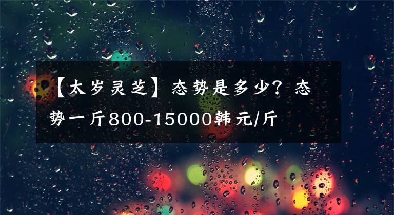 【太岁灵芝】态势是多少？态势一斤800-15000韩元/斤