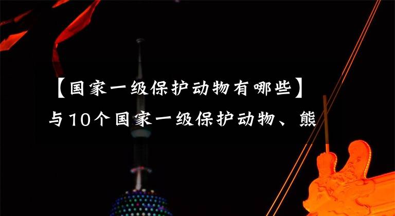 【国家一级保护动物有哪些】与10个国家一级保护动物、熊猫处于相同的保护水平。