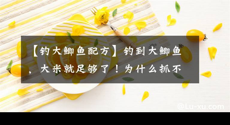 【钓大鲫鱼配方】钓到大鲫鱼，大米就足够了！为什么抓不到？使用配方是关键文章配图