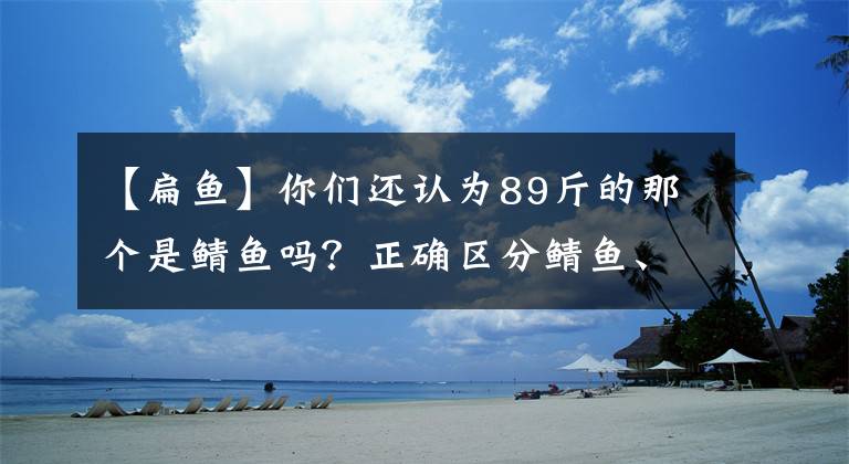 【扁鱼】你们还认为89斤的那个是鲭鱼吗？正确区分鲭鱼、鲭鱼的方法在这里文章配图