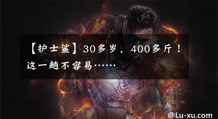 【护士鲨】30多岁，400多斤！这一趟不容易……文章配图