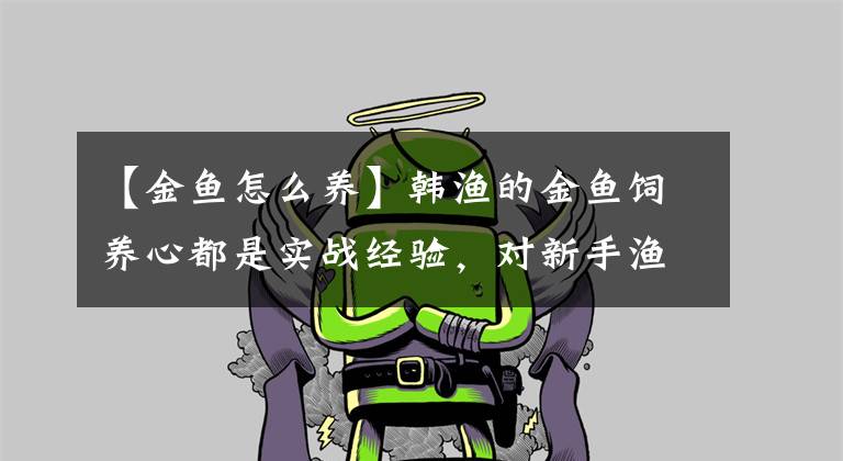 【金鱼怎么养】韩渔的金鱼饲养心都是实战经验，对新手渔友大有帮助文章配图