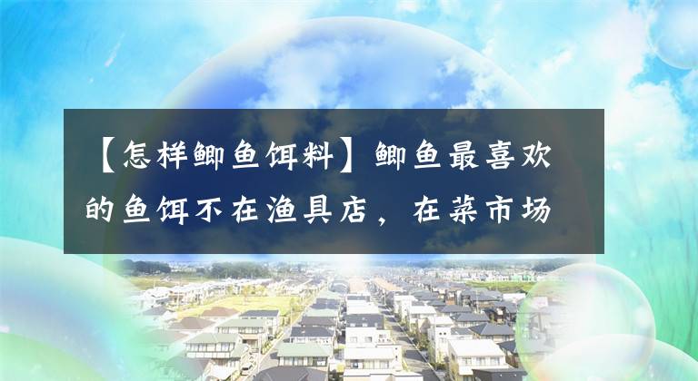 【怎样鲫鱼饵料】鲫鱼最喜欢的鱼饵不在渔具店，在菜市场混合这三种就行了。文章配图