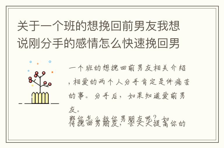 关于一个班的想挽回前男友我想说刚分手的感情怎么快速挽回男朋友？