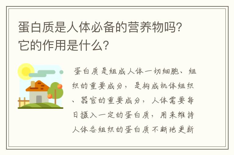 蛋白质是人体必备的营养物吗？它的作用是什么？