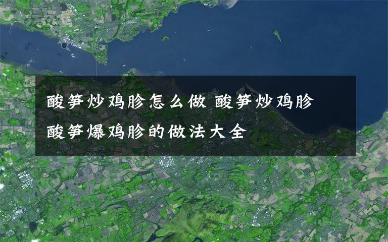 酸笋炒鸡胗怎么做 酸笋炒鸡胗 酸笋爆鸡胗的做法大全