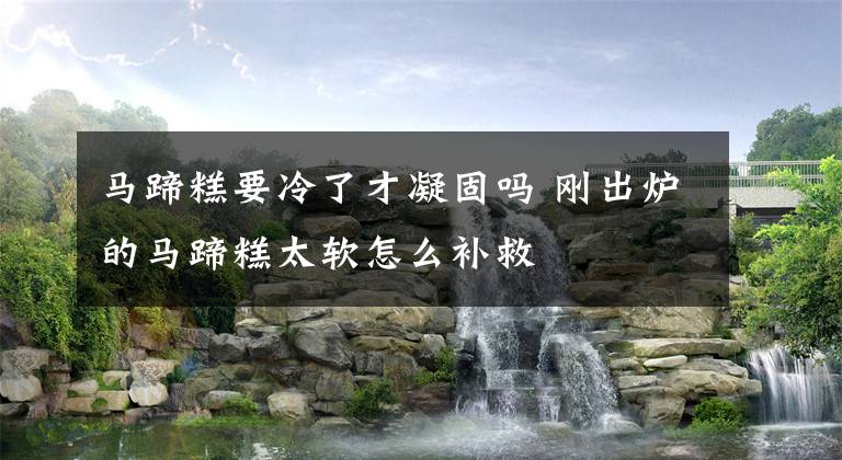 马蹄糕要冷了才凝固吗 刚出炉的马蹄糕太软怎么补救文章配图