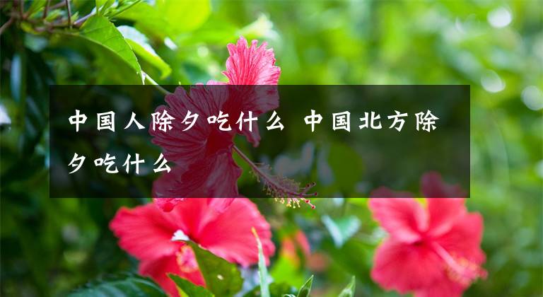 中国人除夕吃什么 中国北方除夕吃什么文章配图