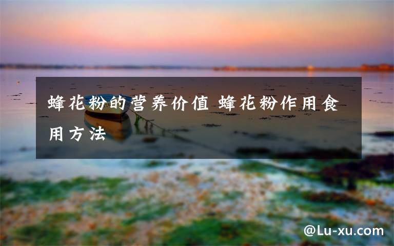 蜂花粉的营养价值 蜂花粉作用食用方法