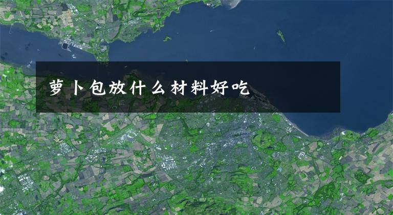 萝卜包放什么材料好吃文章配图