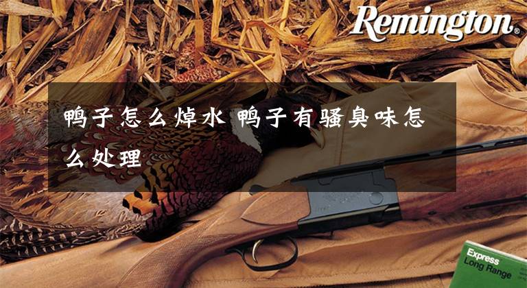 鸭子怎么焯水 鸭子有骚臭味怎么处理文章配图