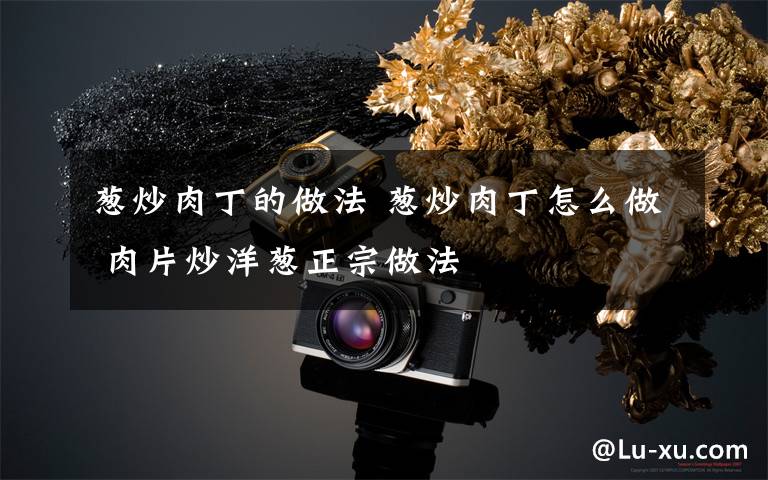 葱炒肉丁的做法 葱炒肉丁怎么做 肉片炒洋葱正宗做法文章配图