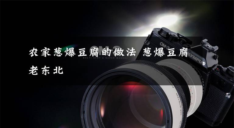 农家葱爆豆腐的做法 葱爆豆腐老东北文章配图