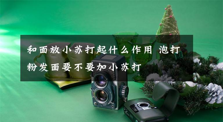 和面放小苏打起什么作用 泡打粉发面要不要加小苏打文章配图
