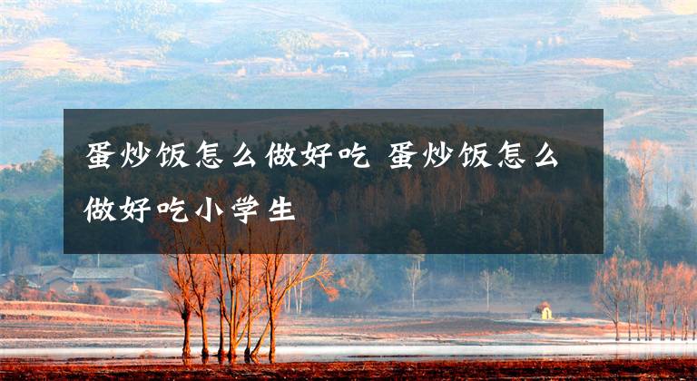 蛋炒饭怎么做好吃 蛋炒饭怎么做好吃小学生文章配图